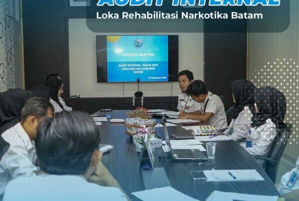 Audit Internal